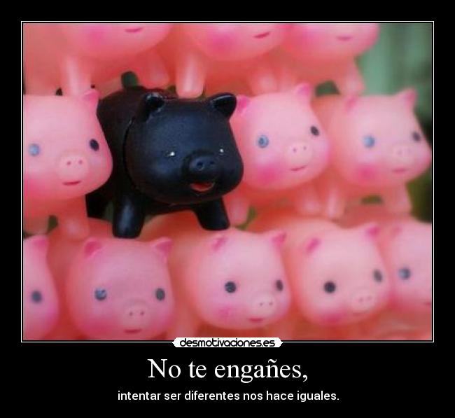 No te engañes, - 