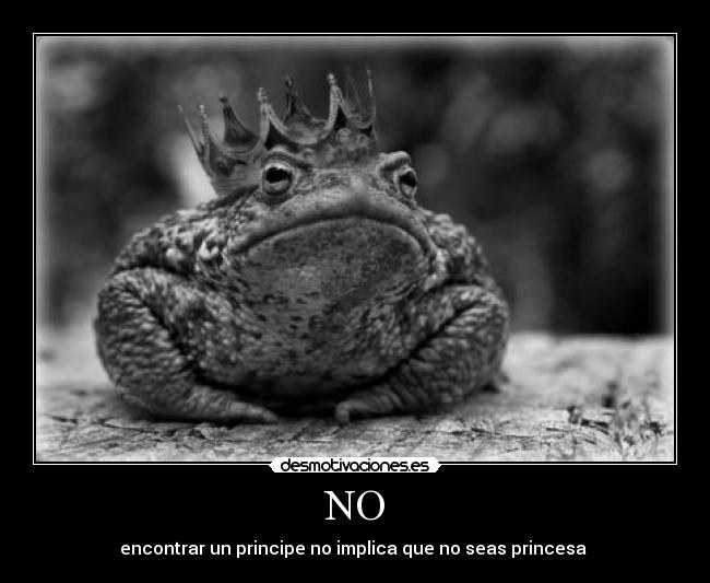 NO - encontrar un principe no implica que no seas princesa ♥