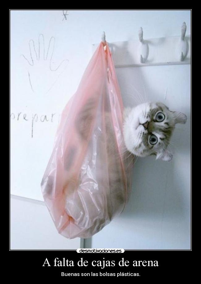 carteles nersa desmotivaciones