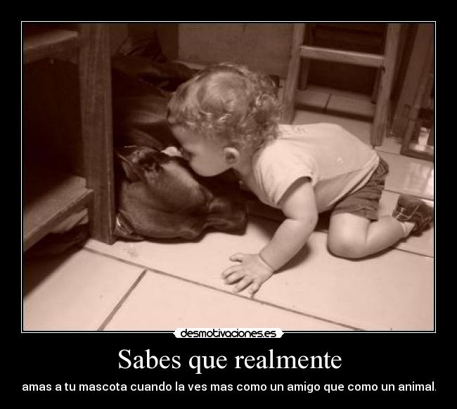 Sabes que realmente - amas a tu mascota cuando la ves mas como un amigo que como un animal.