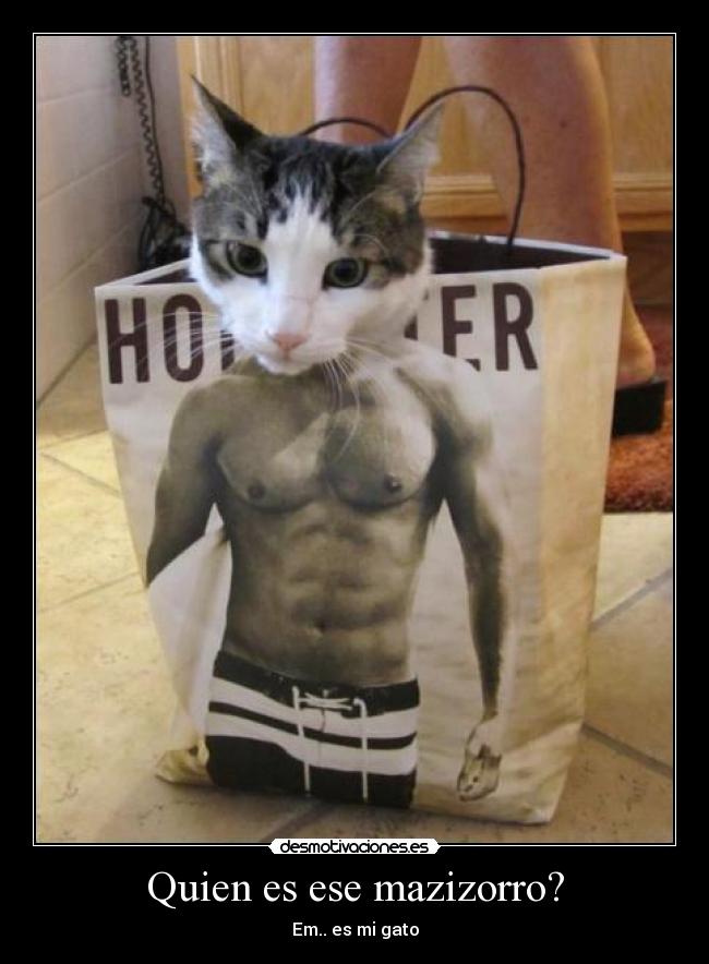 Quien es ese mazizorro? - Em.. es mi gato