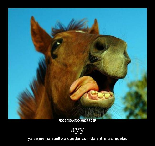 ayy - ya se me ha vuelto a quedar comida entre las muelas