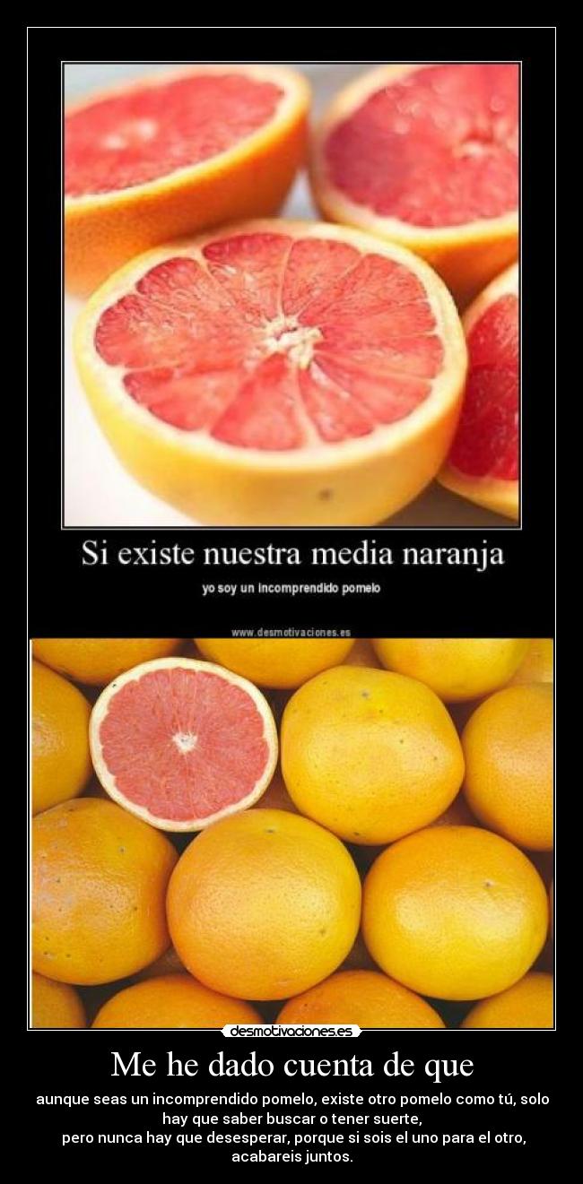 Me he dado cuenta de que - aunque seas un incomprendido pomelo, existe otro pomelo como tú, solo
hay que saber buscar o tener suerte,
pero nunca hay que desesperar, porque si sois el uno para el otro,
acabareis juntos.