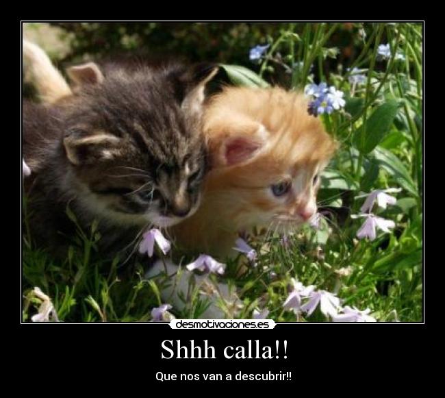 Shhh calla!! - Que nos van a descubrir!!