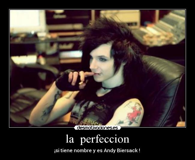 la perfeccion -