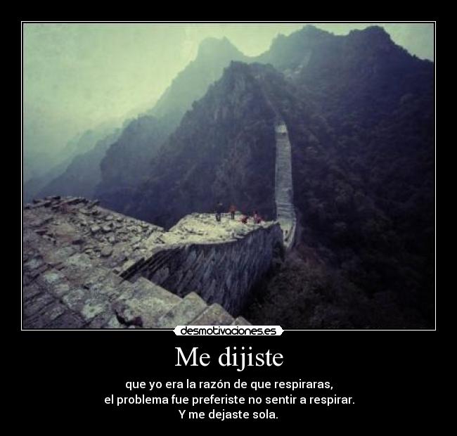 Me dijiste - que yo era la razón de que respiraras,
el problema fue preferiste no sentir a respirar.
Y me dejaste sola.