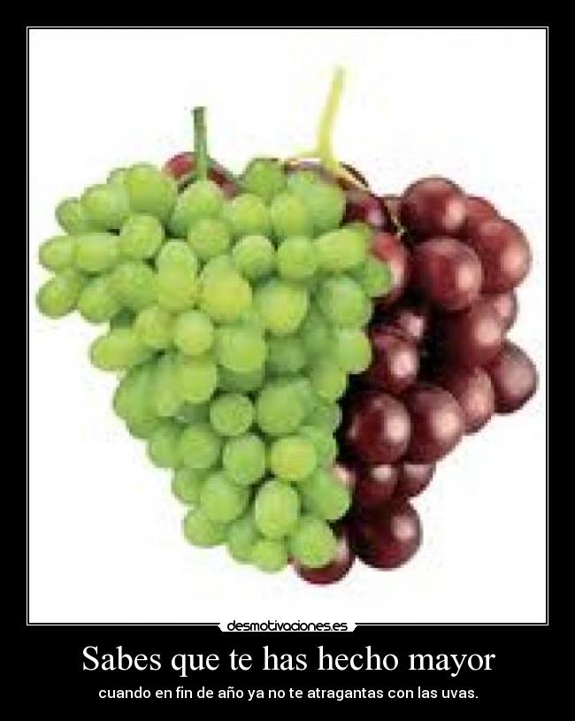 carteles fin ano desmotivaciones