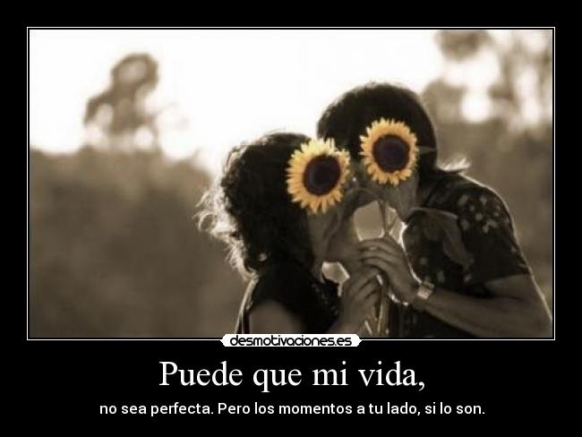 carteles vida desmotivaciones