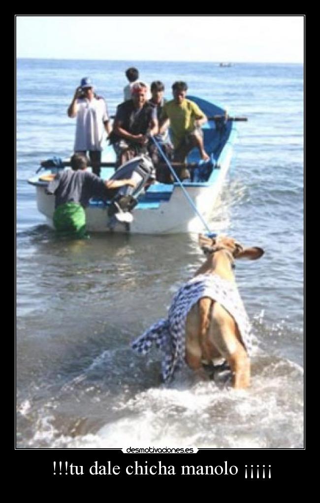 !!!tu dale chicha manolo ¡¡¡¡¡ -