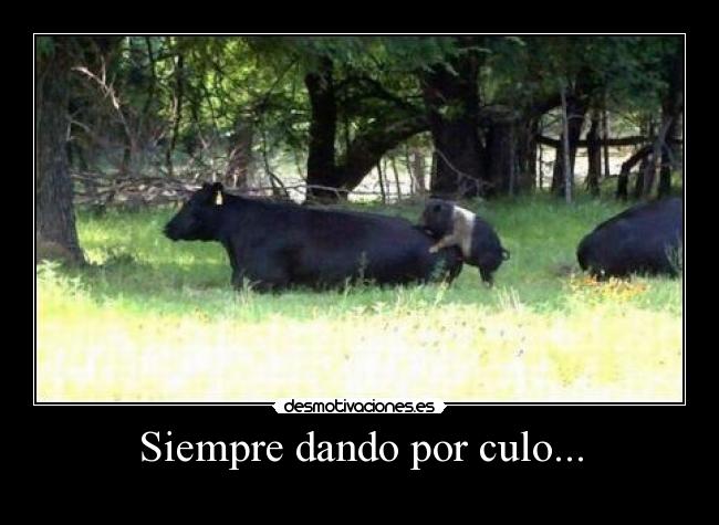 Siempre dando por culo... -