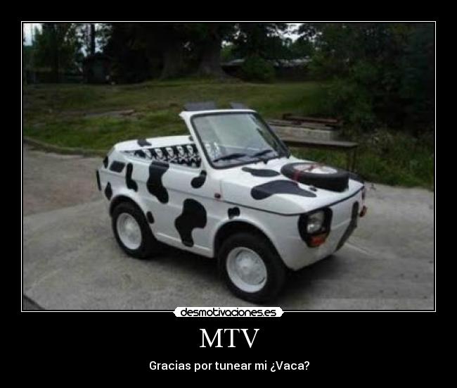 MTV -
