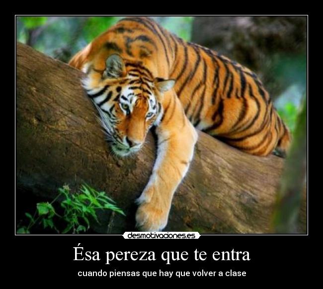 Ésa pereza que te entra - cuando piensas que hay que volver a clase