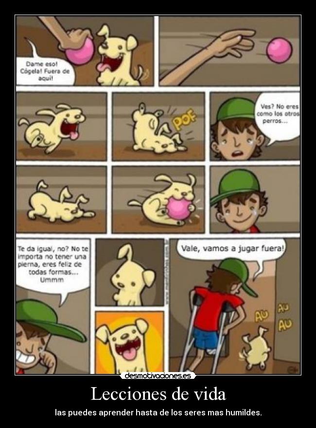 Lecciones de vida -