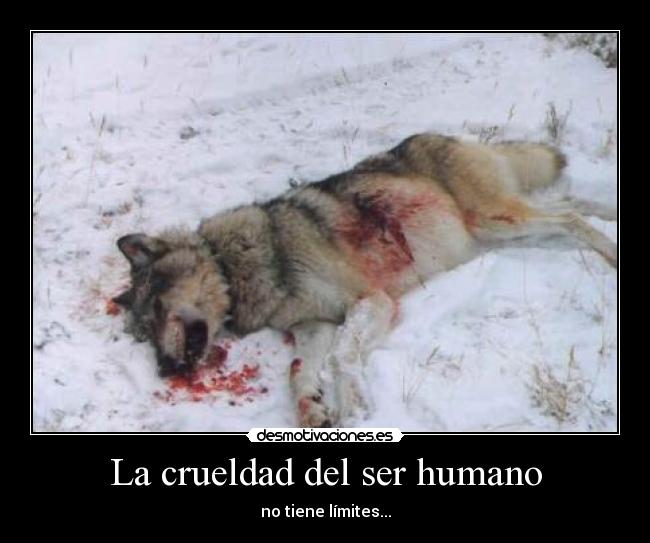 La crueldad del ser humano -