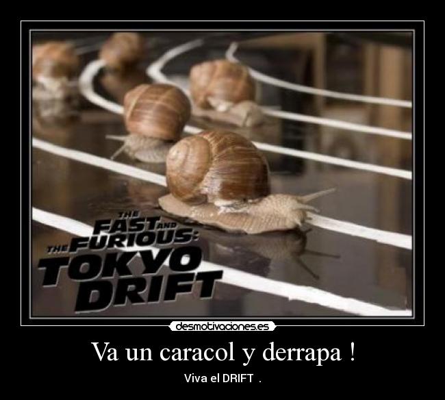 Va un caracol y derrapa ! - Viva el DRIFT  .