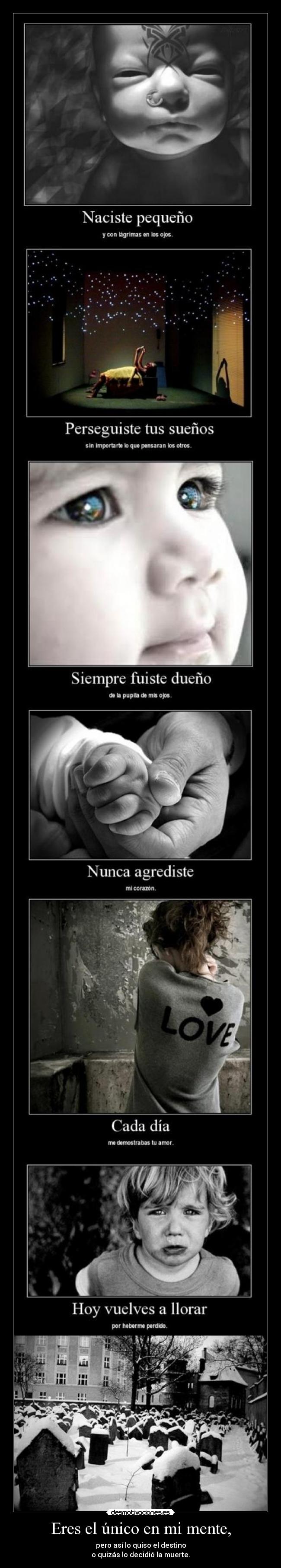 carteles kyra15 esunamadremuertahablandoasuhijopaquesepais intruders crazyclub diasraros vidademierda desmotivaciones