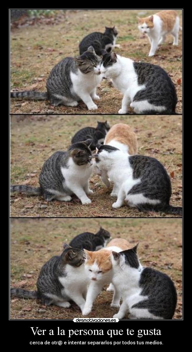 Ver a la persona que te gusta - cerca de otr@ e intentar separarlos por todos tus medios.
