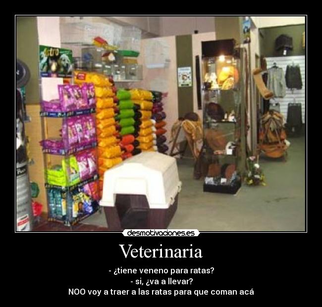 Veterinaria - 