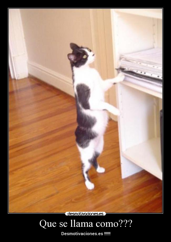 Que se llama como??? - 