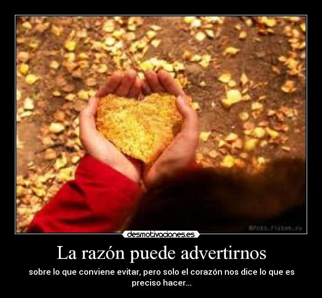 La razón puede advertirnos - sobre lo que conviene evitar, pero solo el corazón nos dice lo que es preciso hacer...
