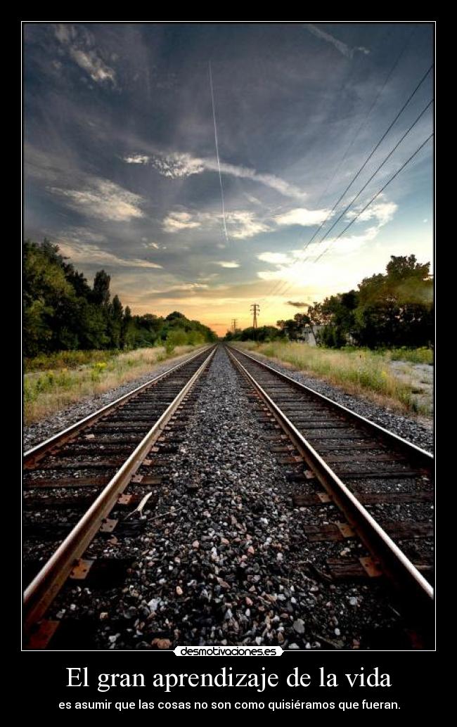 El gran aprendizaje de la vida - 