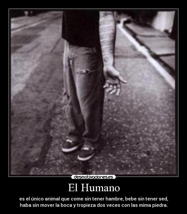 El Humano - es el único animal que come sin tener hambre, bebe sin tener sed,
haba sin mover la boca y tropieza dos veces con las mima piedra.