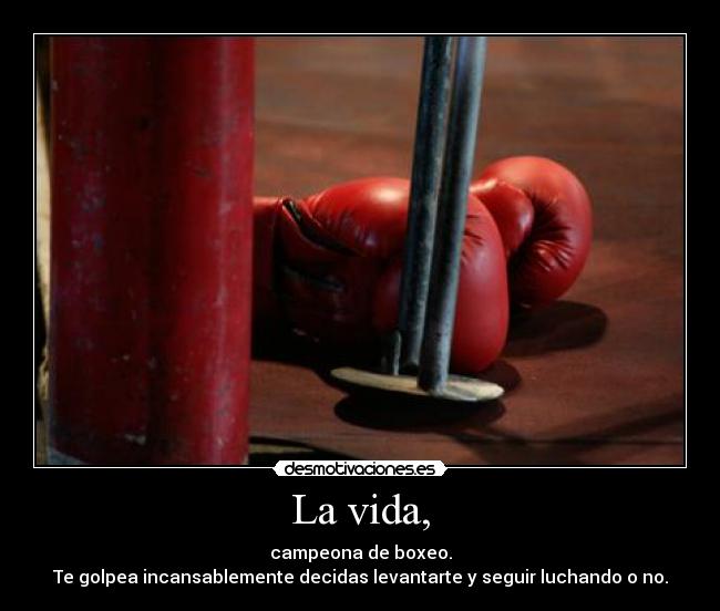 La vida, - campeona de boxeo.
Te golpea incansablemente decidas levantarte y seguir luchando o no.