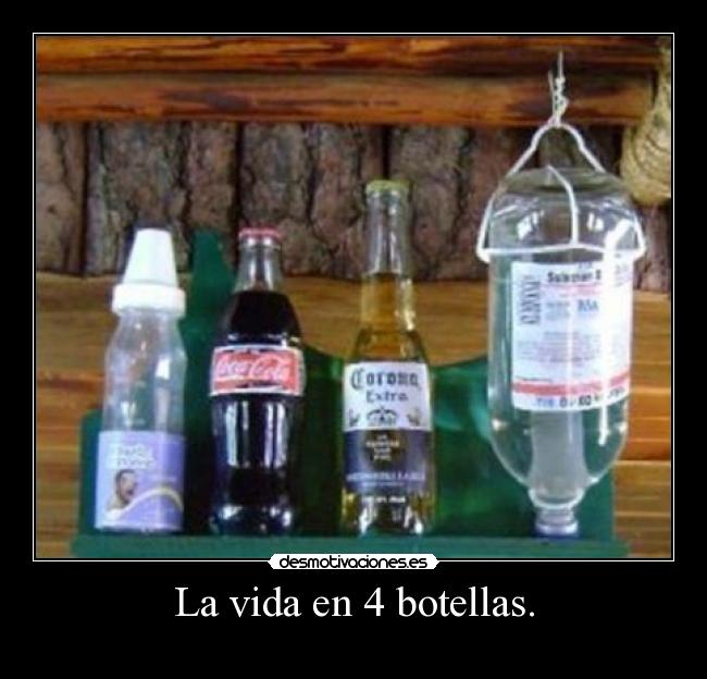 La vida en 4 botellas. - 
