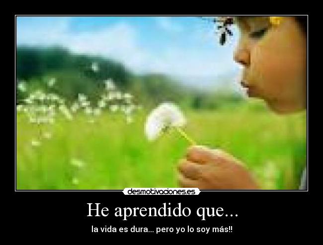 carteles aprendido que desmotivaciones