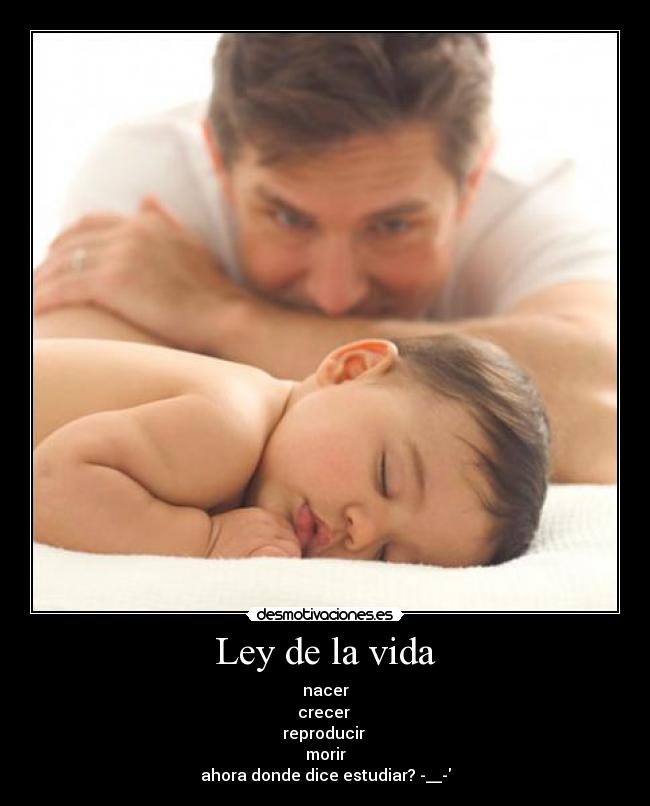 Ley de la vida - nacer
crecer
reproducir
morir
ahora donde dice estudiar? -__-