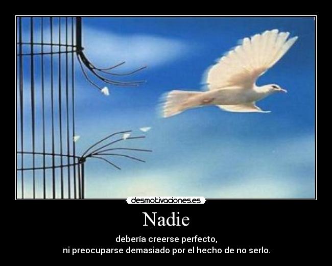 Nadie - debería creerse perfecto,
ni preocuparse demasiado por el hecho de no serlo.