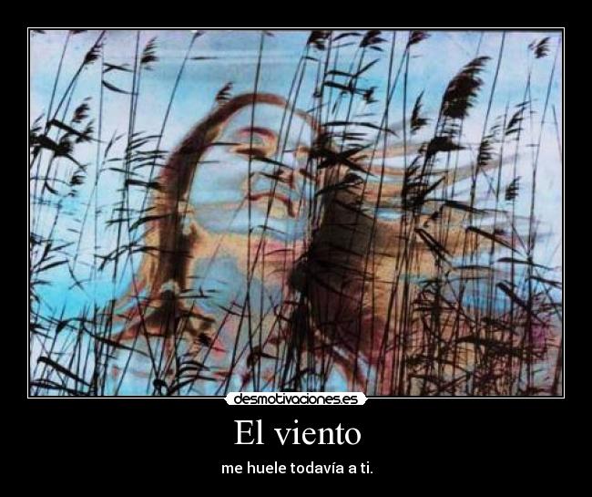 El viento - 