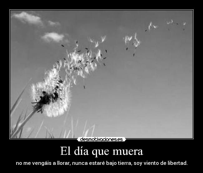 carteles inesukih desmotivaciones