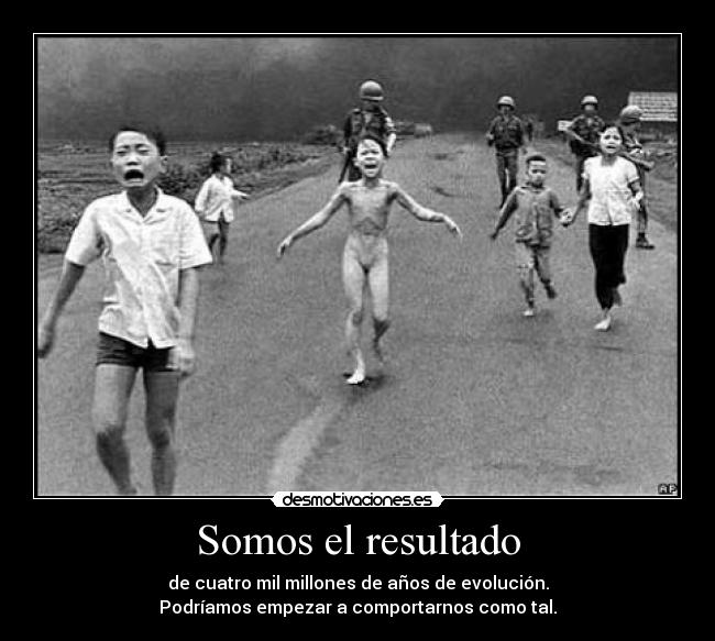 Somos el resultado -