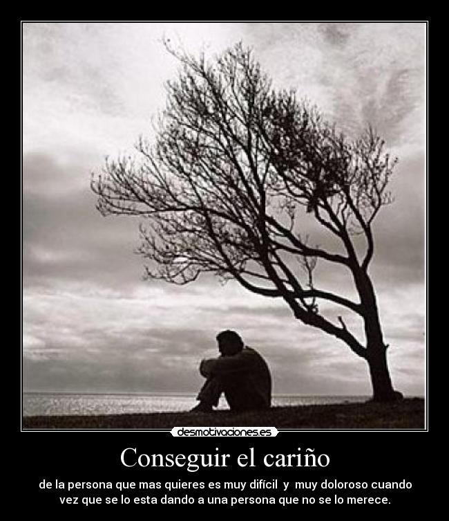 Conseguir el cariño -