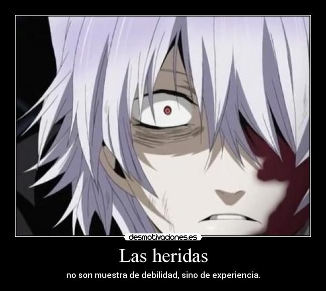 carteles pandora hearts break desmotivaciones