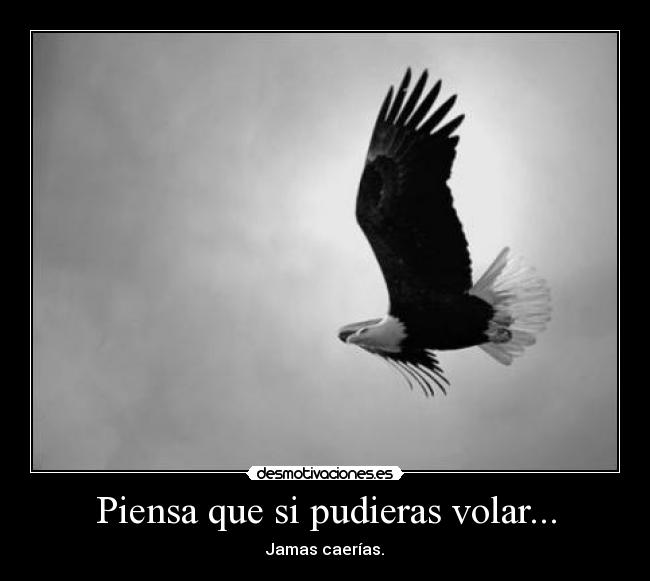 Piensa que si pudieras volar... - Jamas caerías.