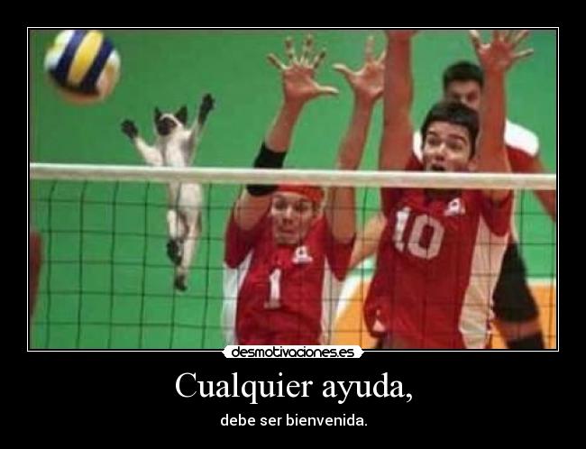 Cualquier ayuda, - 