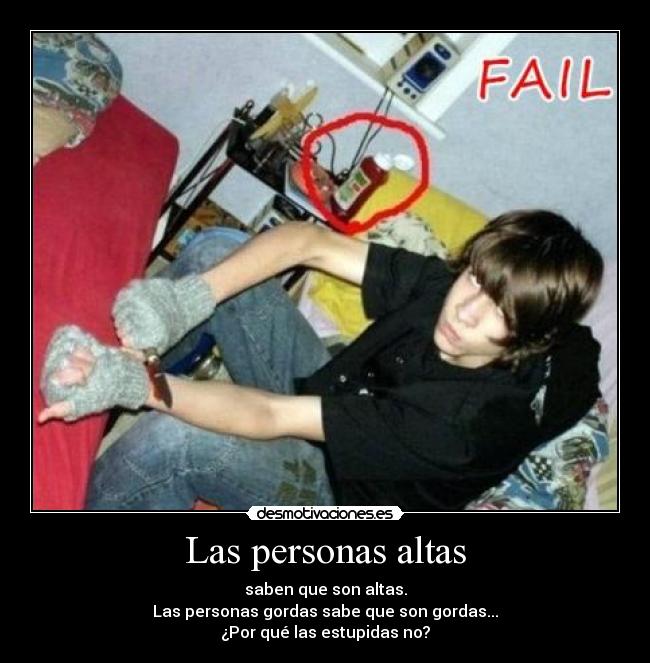 Las personas altas - saben que son altas.
Las personas gordas sabe que son gordas...
¿Por qué las estupidas no?
