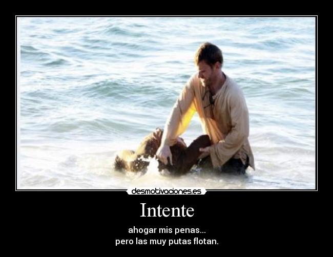 Intente - 