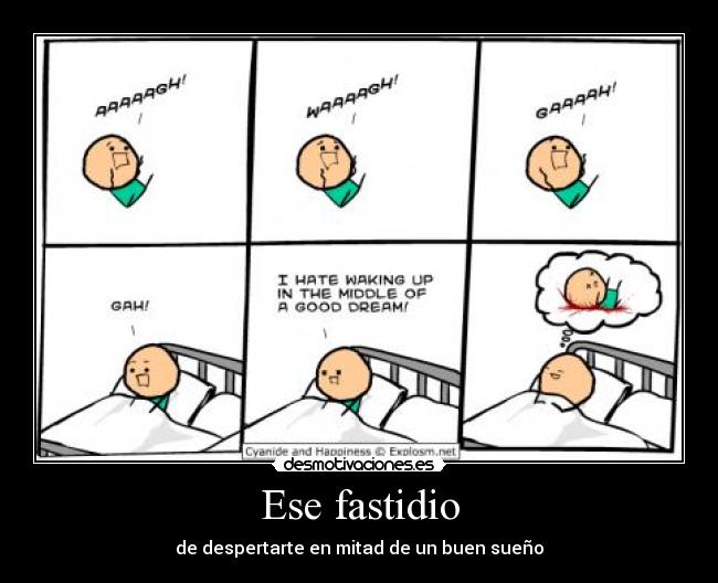Ese fastidio - de despertarte en mitad de un buen sueño