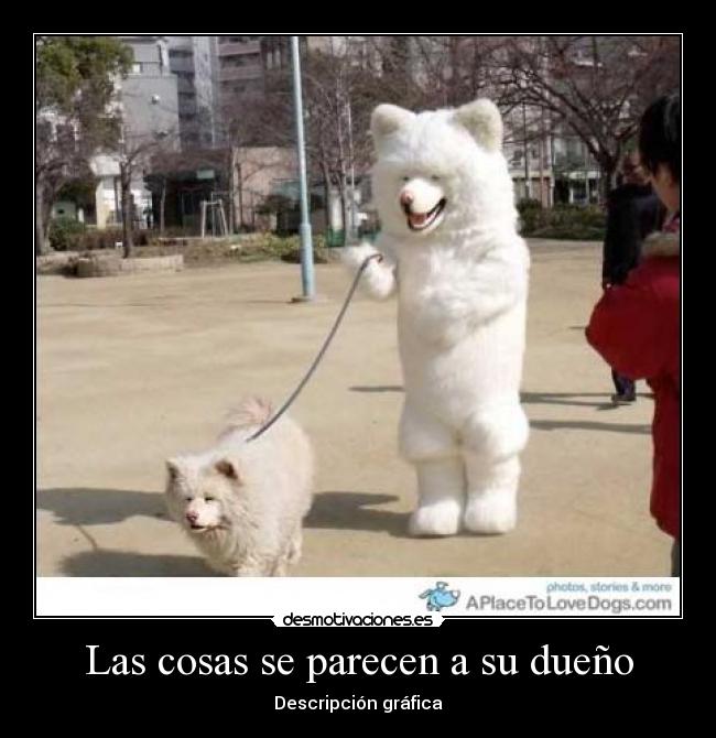 carteles graph desmotivaciones