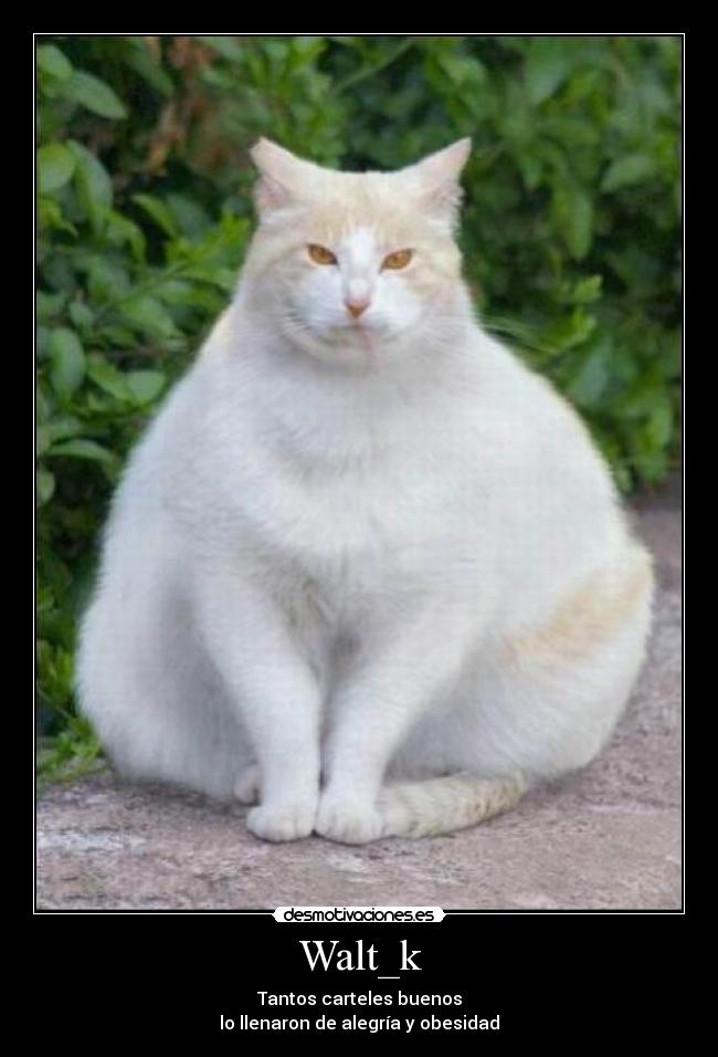 Walt_k - Tantos carteles buenos
lo llenaron de alegría y obesidad