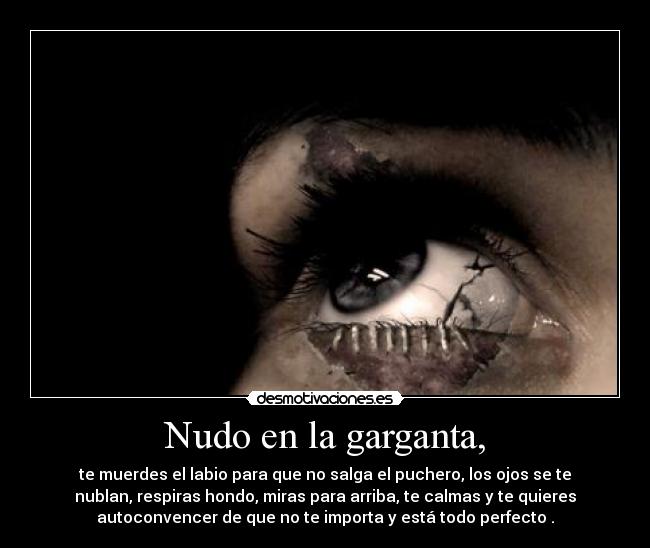 carteles sentimiento desmotivaciones