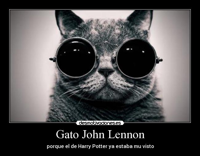 Gato John Lennon - porque el de Harry Potter ya estaba mu visto