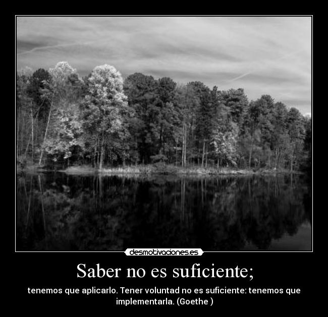 Saber no es suficiente; - tenemos que aplicarlo. Tener voluntad no es suficiente: tenemos que
implementarla. (Goethe )
