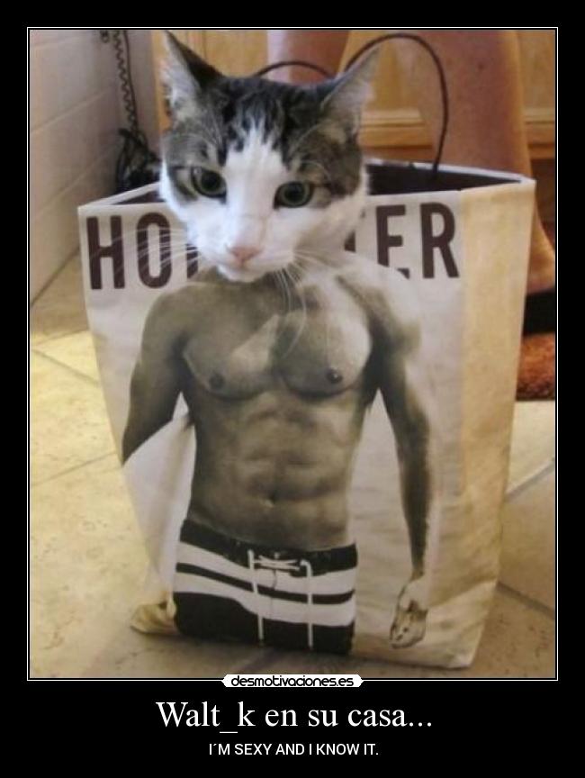 Walt_k en su casa... - I´M SEXY AND I KNOW IT.