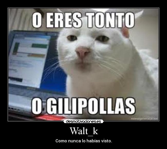 Walt_k -