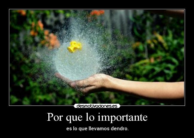 Por que lo importante - es lo que llevamos dendro.