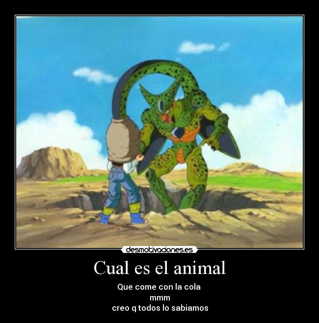 Cual es el animal -
